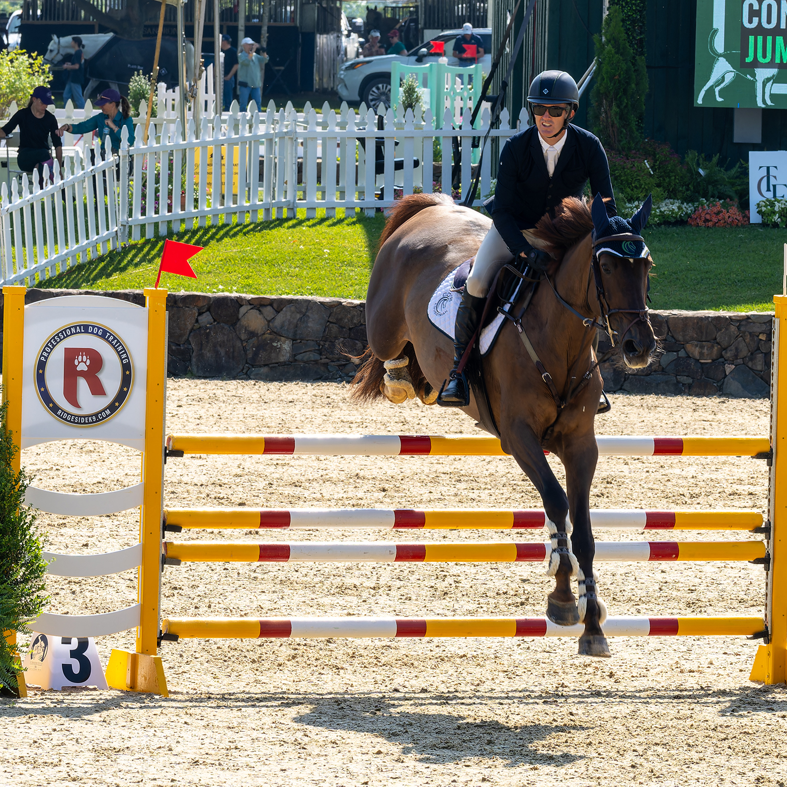 Upperville Colt & Horse Show 2025